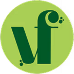 vf